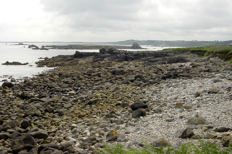 br07271100