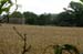 br07171528