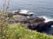 br07221224