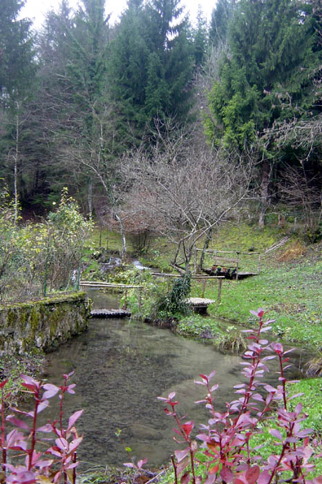Bugey (03)
