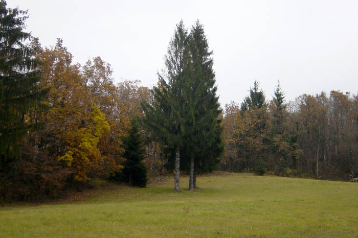 Bugey (05)