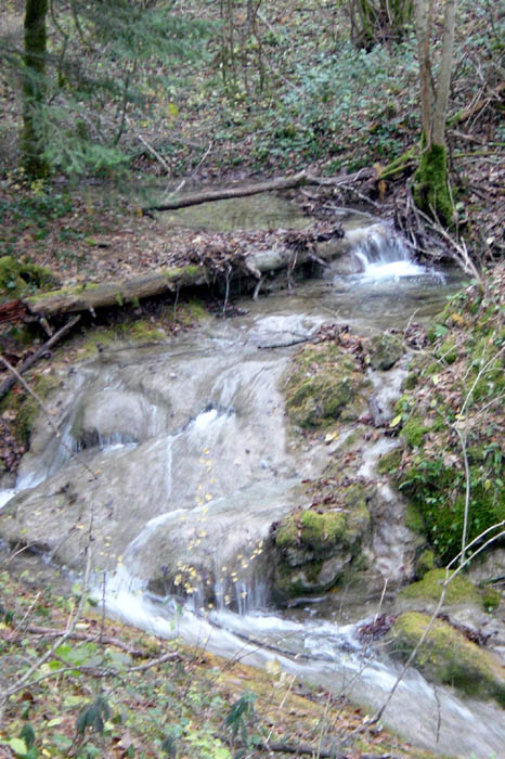 Bugey (13)