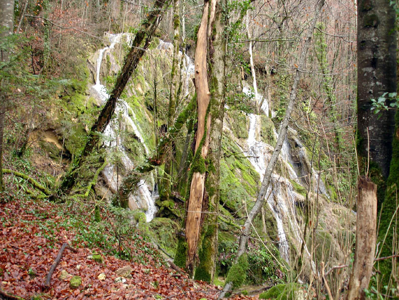 DSC09140n