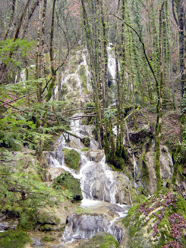 DSC09141