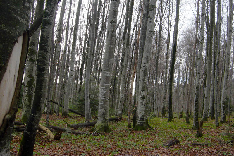 DSC09150