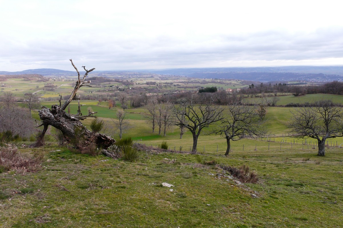 P1140832.jpg