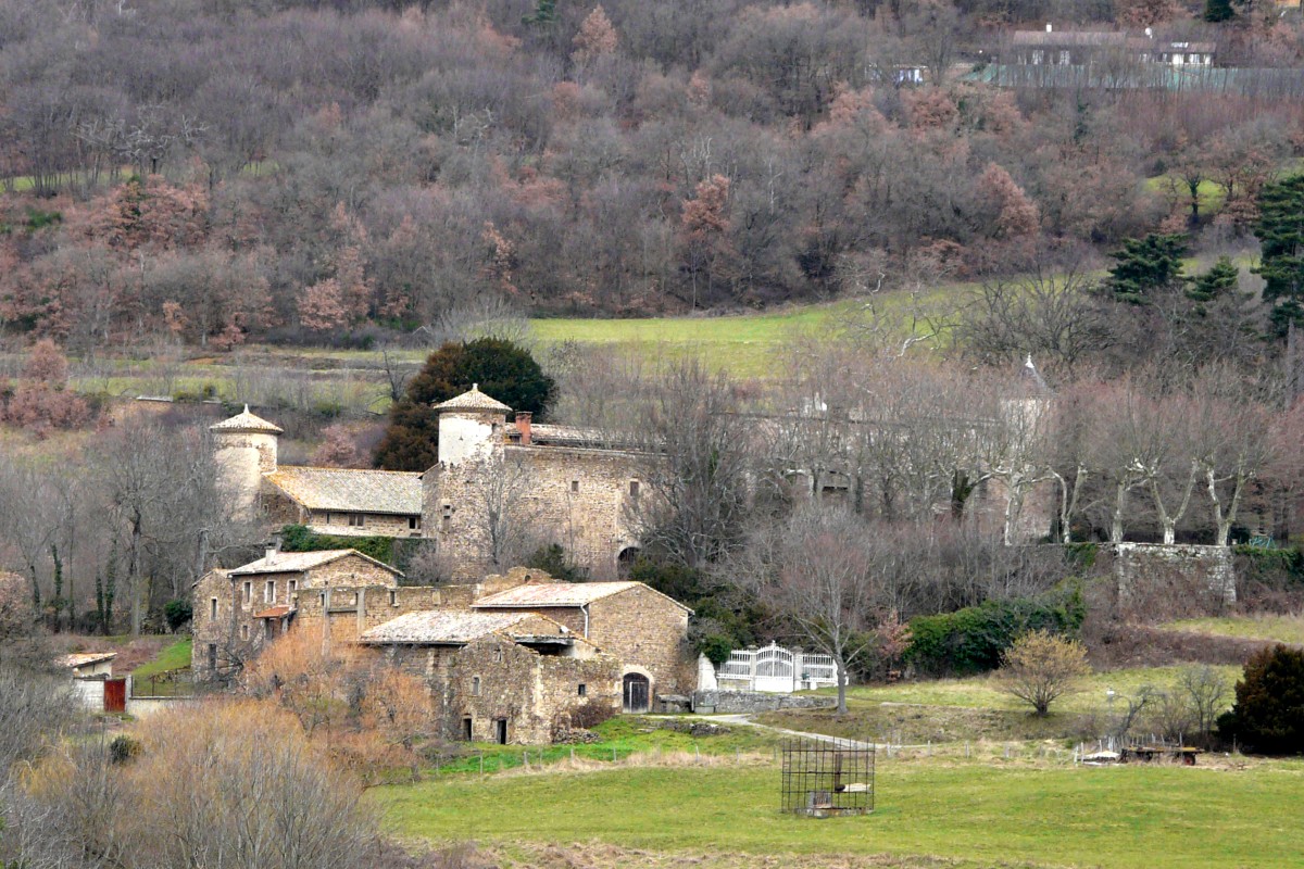 P1140855.jpg