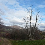 P1140840.jpg