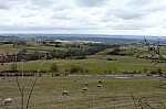 P1140851.jpg