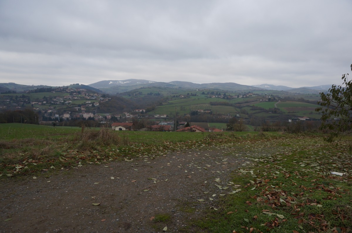 DSC02689.jpg