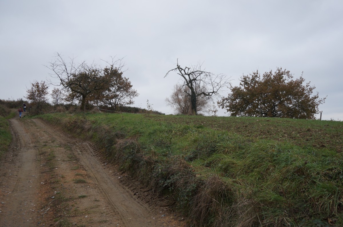 DSC02692.jpg