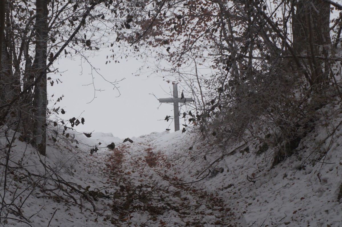 DSC02707.jpg