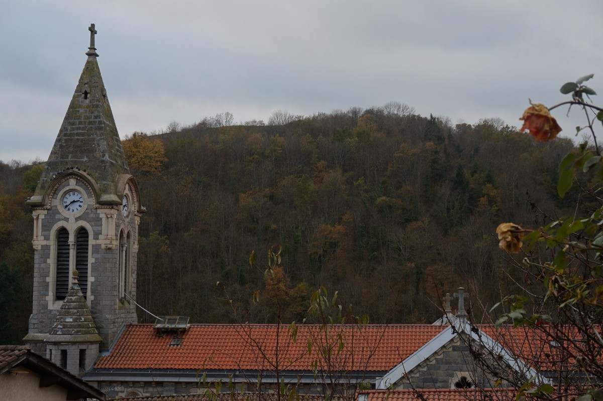 DSC02728.jpg