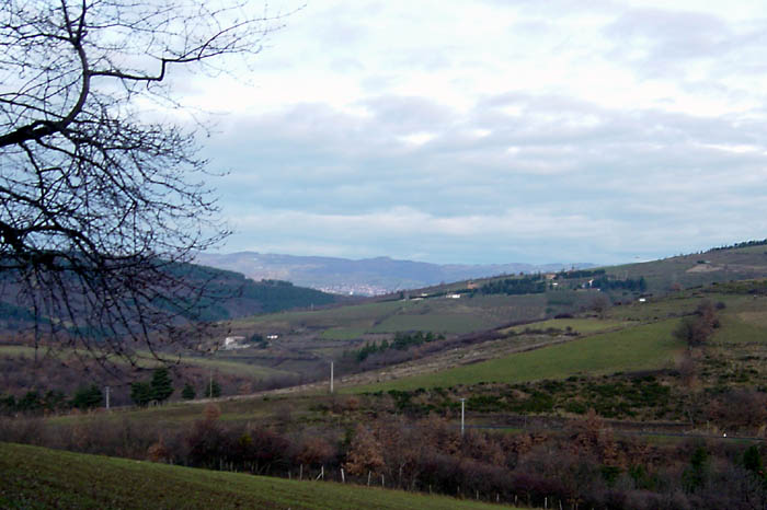 DSC04532