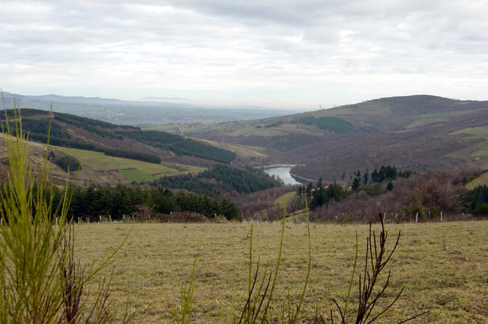 DSC04535