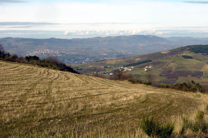 DSC04563