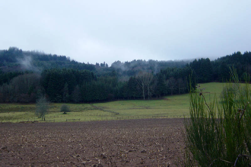 DSC09202