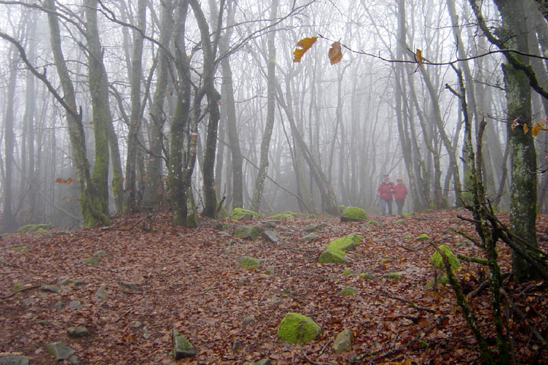 DSC09217