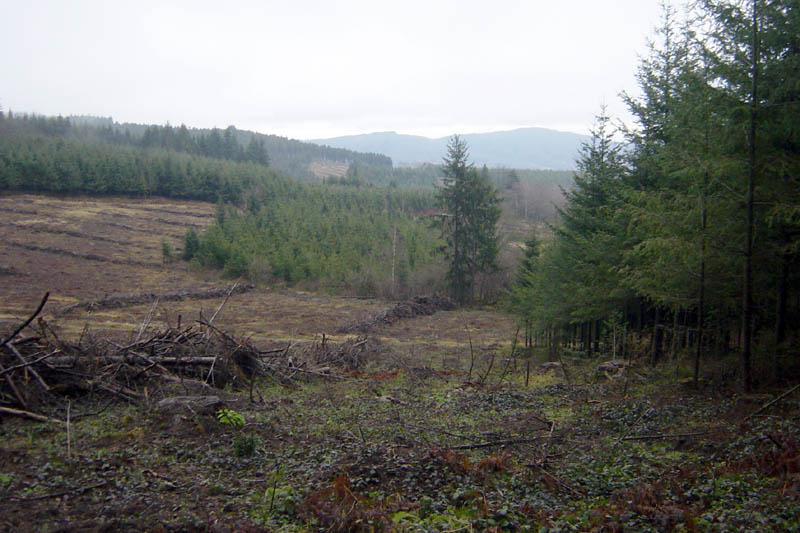 DSC09218