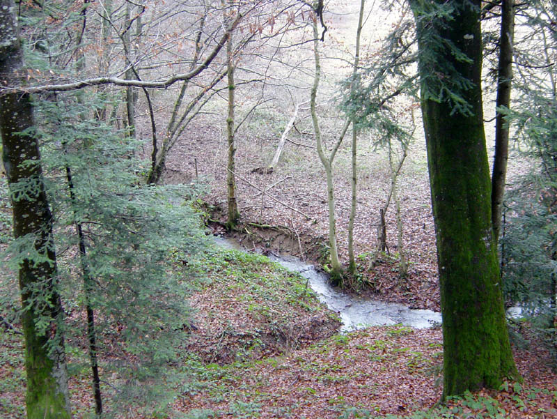 DSC09235
