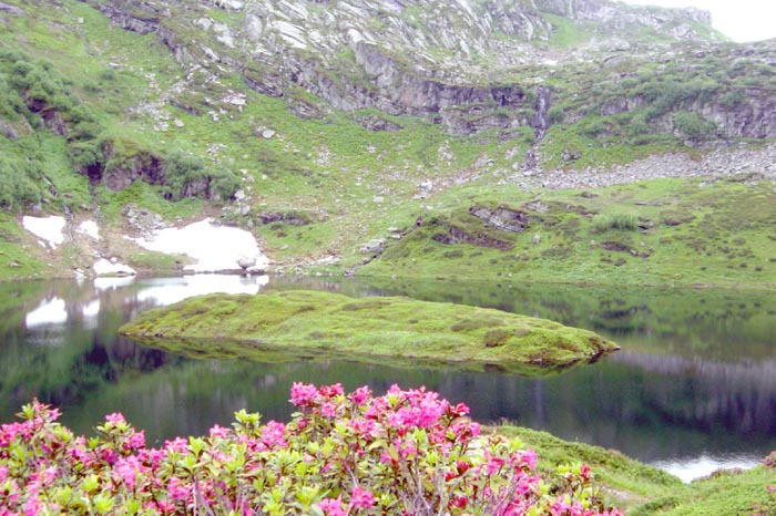 Fiz (12) Lac de Pormenaz, 25 juin 15 h