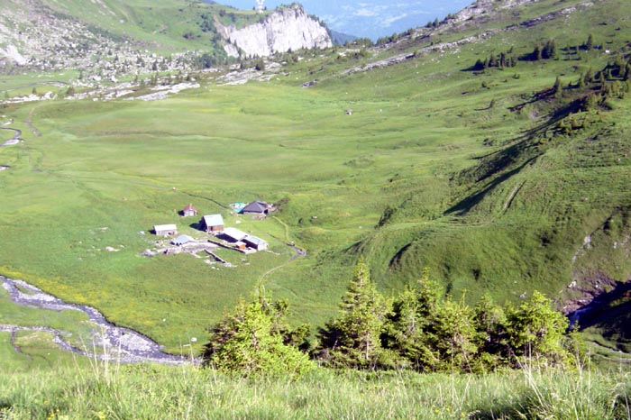 Fiz (41), Refuge Alfred Wills