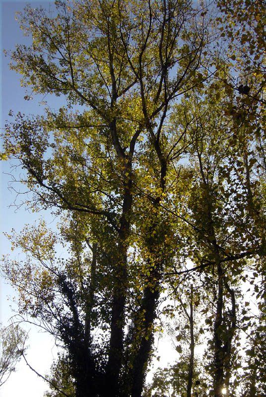 DSC07621