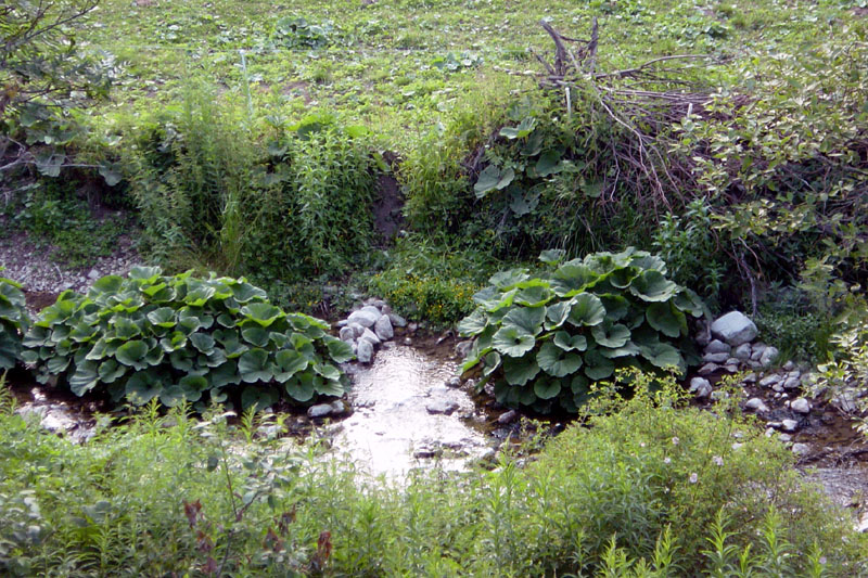 DSC07109