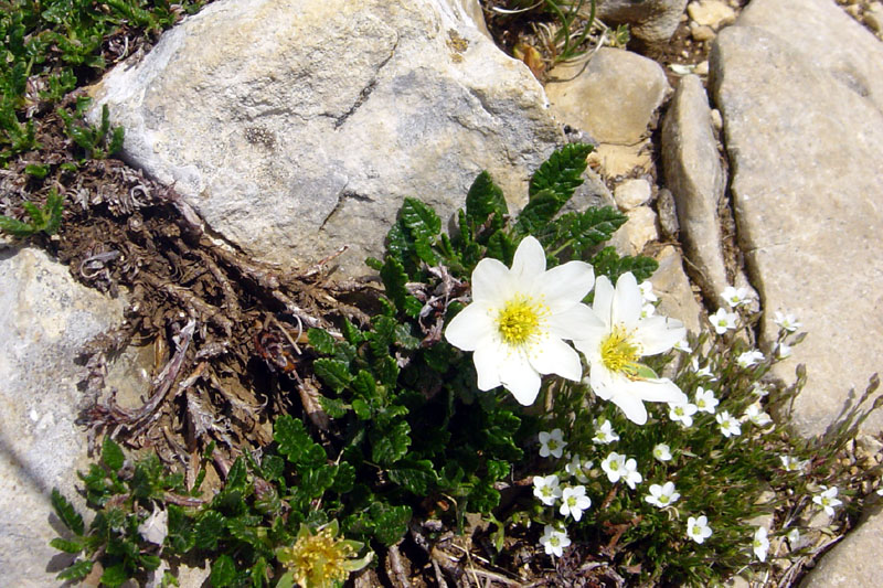 DSC07151