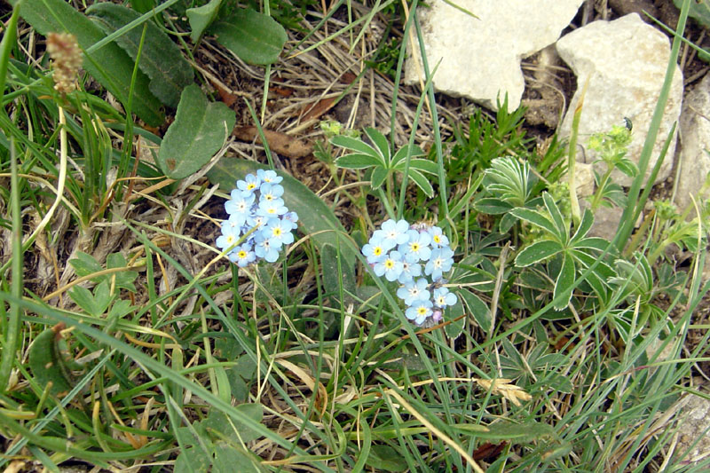 DSC07156