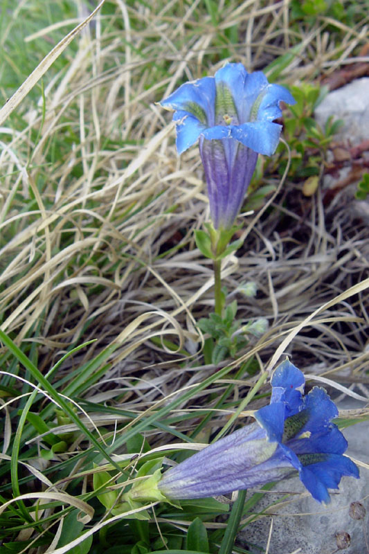 DSC07162