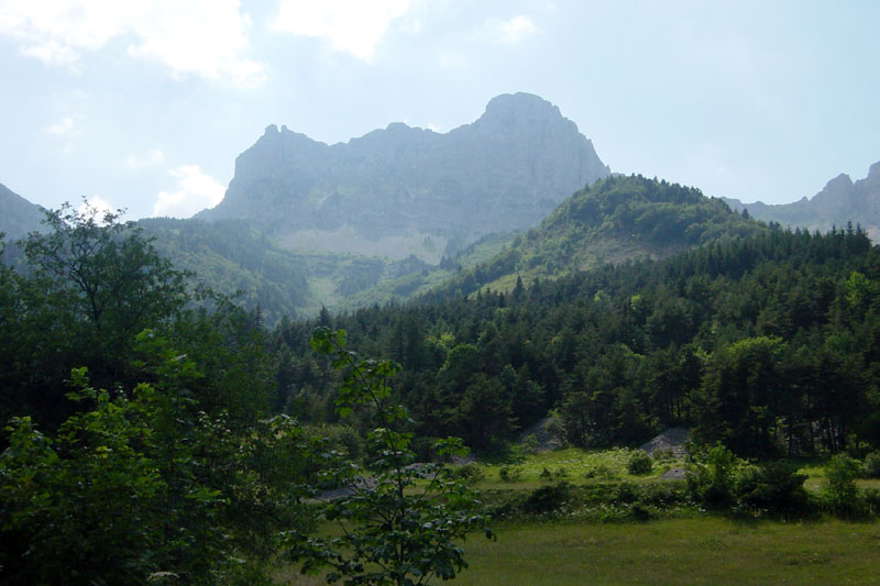 DSC07173