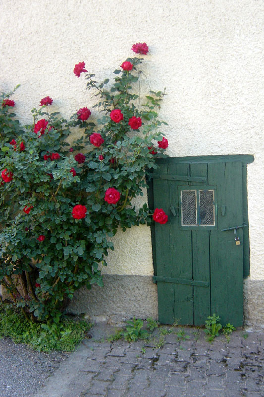 DSC07174