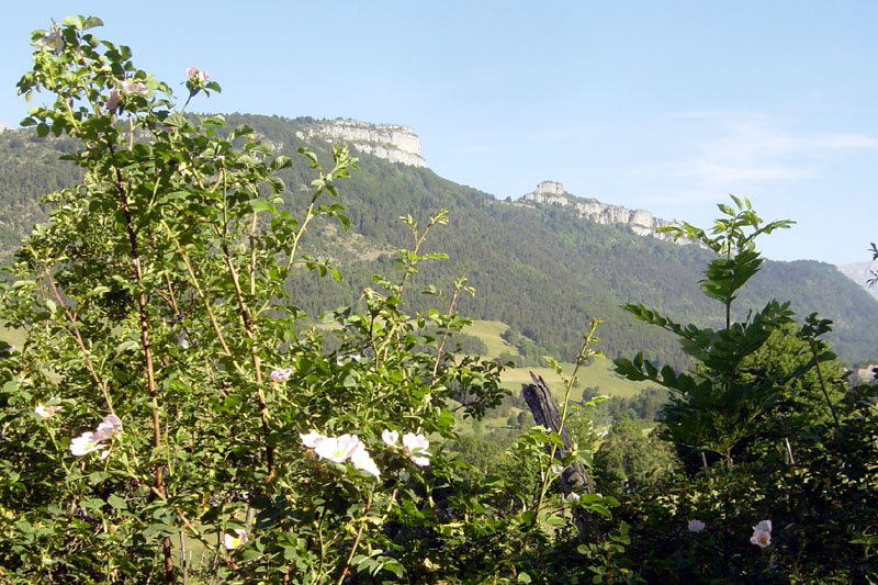 DSC07178