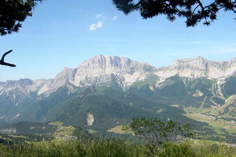 DSC07200