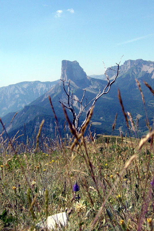 DSC07219