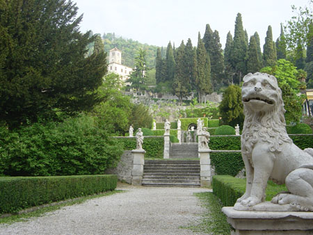 Costoz20