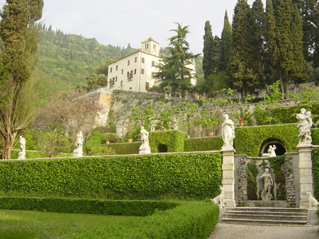 Costoz21