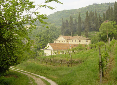 Costoz23