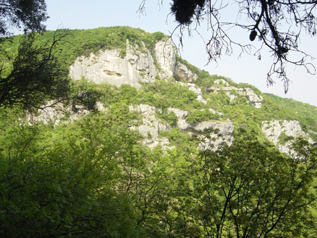 Costoz32