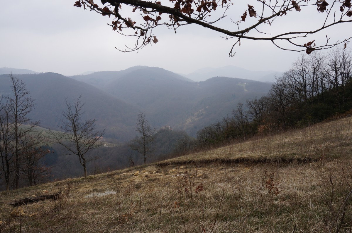 DSC00086.jpg