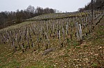 DSC00060.jpg