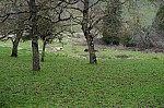 DSC00064.jpg