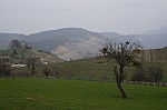 DSC00069.jpg