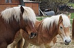 DSC00070.jpg