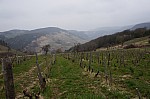 DSC00072.jpg