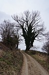 DSC00073.jpg