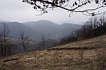 DSC00086.jpg