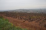 DSC05377.jpg