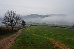 DSC05380.jpg